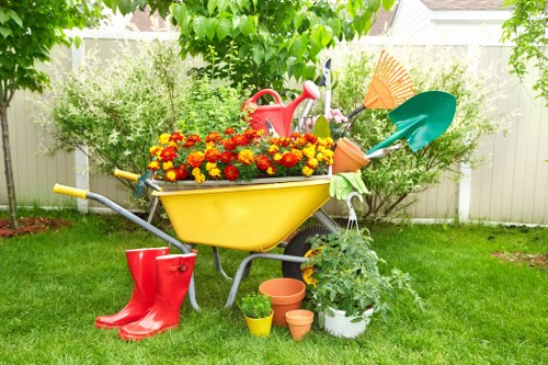 Various types of lawn mowers suitable for Morden lawns