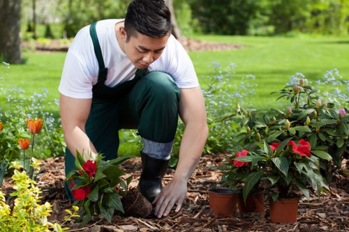 Seasonal lawn care activities in Morden